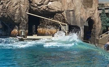 Shamu Stadium