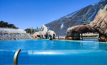 Estadio Shamu