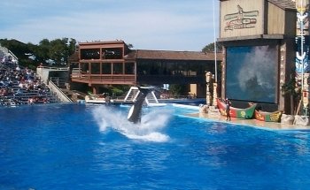 Shamu Stadium