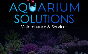 Soluciones de Acuario - Mantenimiento y Servicios
