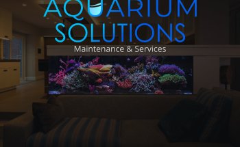 Aquarium Solutions - Maintenance & Services