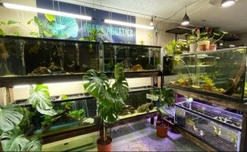 Fresh Aquatics LLC