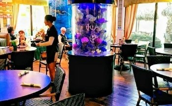 Aquarium Reef Illusions