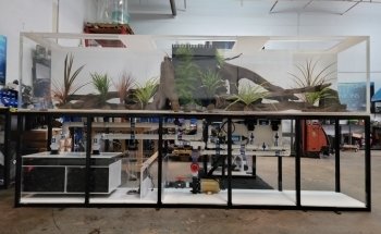 Aquarium Reef Illusions