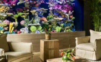 Aquarium Reef Illusions