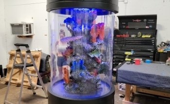 Aquarium Reef Illusions