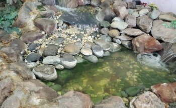 Barracuda Watergardens