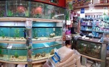 FISH & PET WORLD