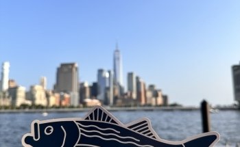 Hudson River Park's River Project Wetlab