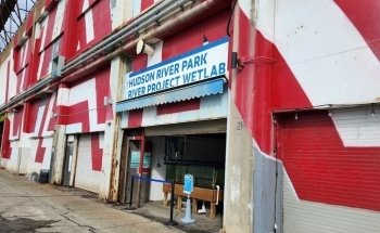 Hudson River Park's River Project Wetlab