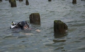 Hudson River Park's River Project Wetlab