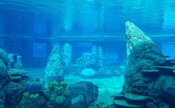 Discovery Point San Antonio