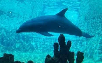 Discovery Point San Antonio