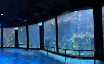 Discovery Point San Antonio