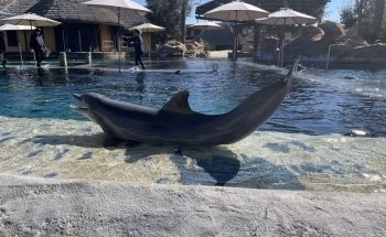 Discovery Point San Antonio