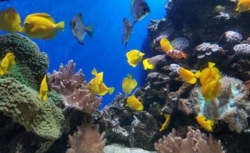 Discovery Point San Antonio