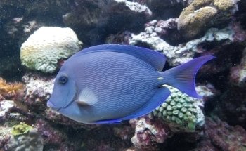 Discovery Point San Antonio