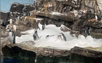 Discovery Point San Antonio