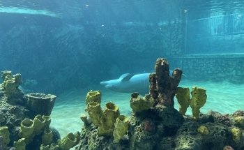 Discovery Point San Antonio