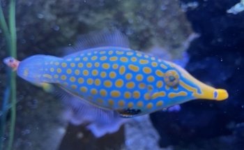 Discovery Point San Antonio