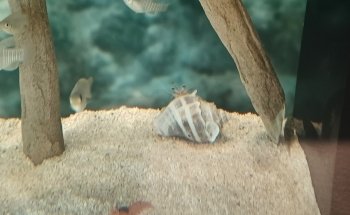 Mote Marine Science Education & Outreach Center