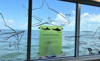 Mote Marine Science Education & Outreach Center