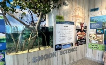 Mote Marine Science Education & Outreach Center