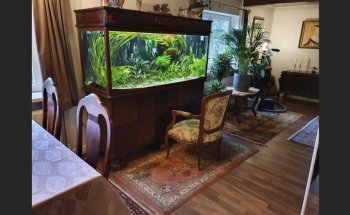 Aquazul Tropical Fish LLC