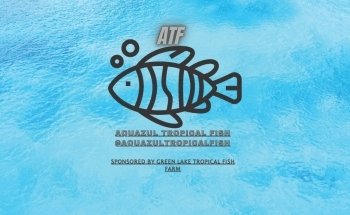 Aquazul Tropical Fish LLC
