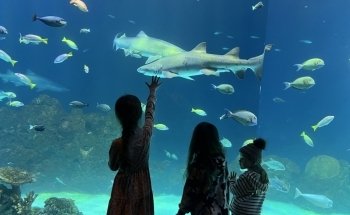 Acuario Sobela Ocean