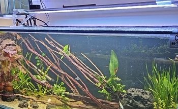 Acuario El Estuario