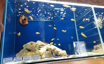 Acuario El Estuario