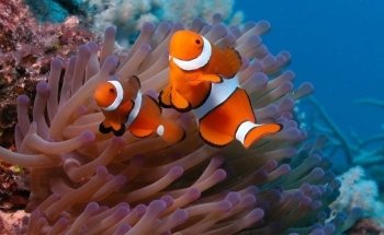 Estuary Aquarium