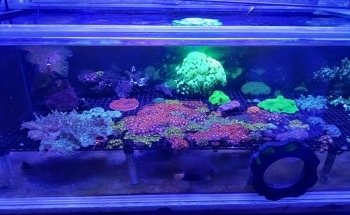 Acuario El Estuario