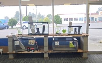 Fancy Fish and Aquascapes