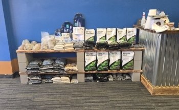 Peces Elegantes y Acuascapismo