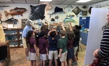 Ostego Bay Foundation Marine Science Center