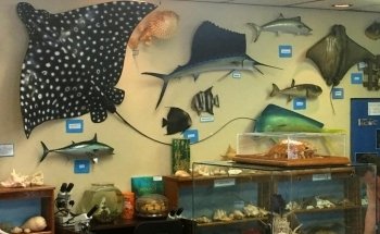 Ostego Bay Foundation Marine Science Center