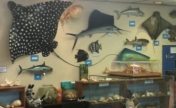 Centro de Ciencias Marinas de la Fundación Ostego Bay