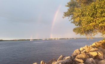 Smithsonian Marine Ecosystems Exhibit