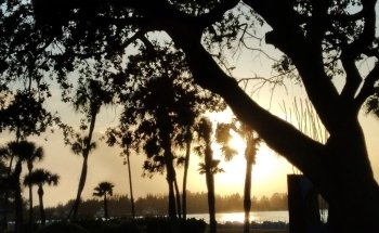 Smithsonian Marine Ecosystems Exhibit