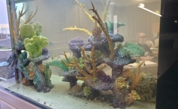 Océanos Personalizados