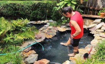 WETPETS Aquarium Services