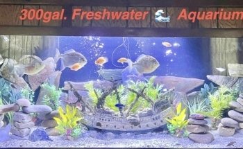 WETPETS Aquarium Services