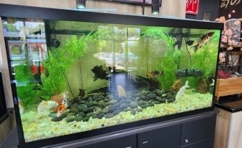 WETPETS Aquarium Services