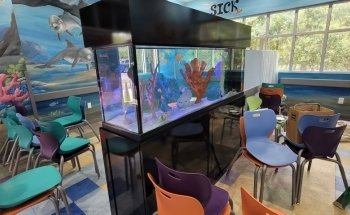 WETPETS Aquarium Services