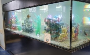 WETPETS Aquarium Services