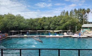 Flipper Show