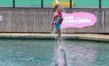 Flipper Show