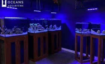 Acuarios Océanos Privados